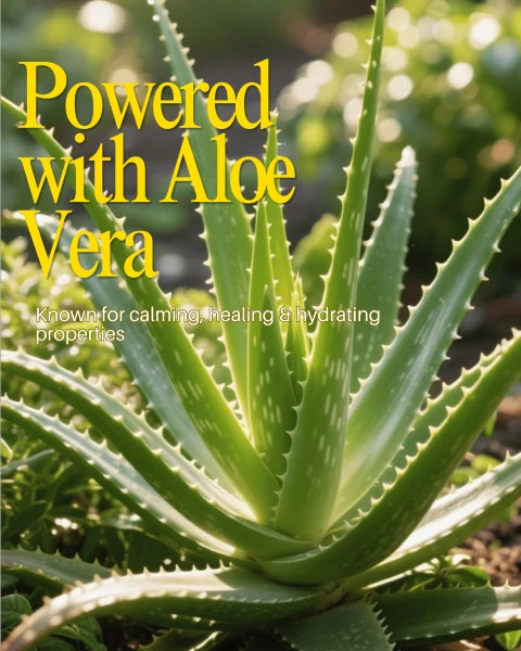 Aloevera Whipped Healing Balm